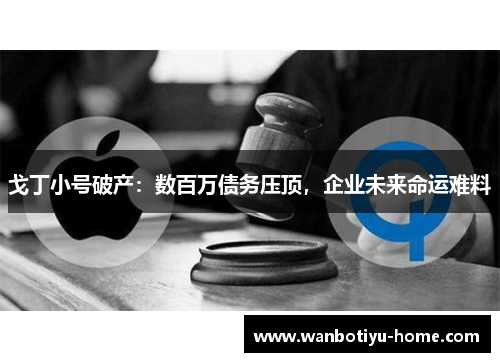 戈丁小号破产：数百万债务压顶，企业未来命运难料